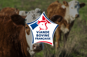 Viande bovine Française